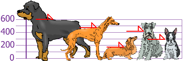 altura de varios perros en una gráfica