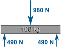 viga 100 kg, fuerzas: 980N equilibra 2 de 490 N