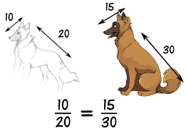 proporción 10/20 : 15/30