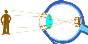 luz a través del ojo